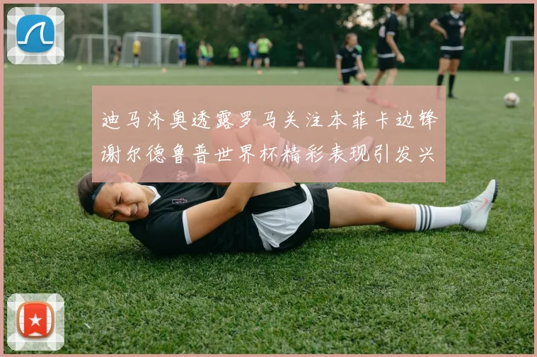 迪马济奥透露罗马关注本菲卡边锋谢尔德鲁普世界杯精彩表现引发兴趣